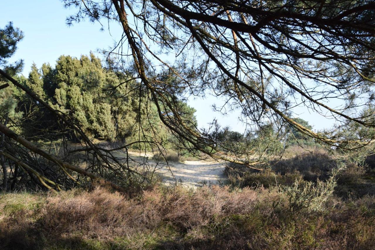 Camping Het Horstmannsbos Gasselte Buitenkant foto