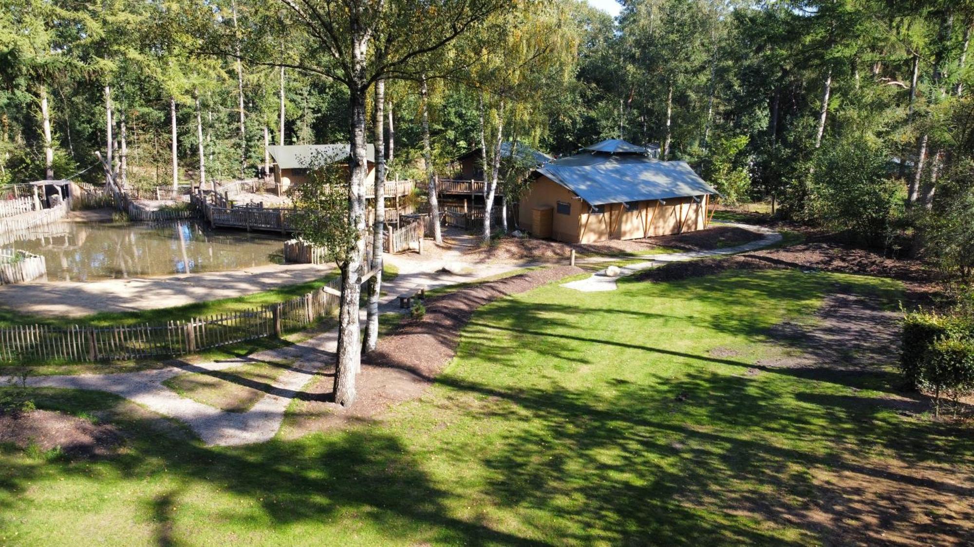 Camping Het Horstmannsbos Gasselte Kamer foto