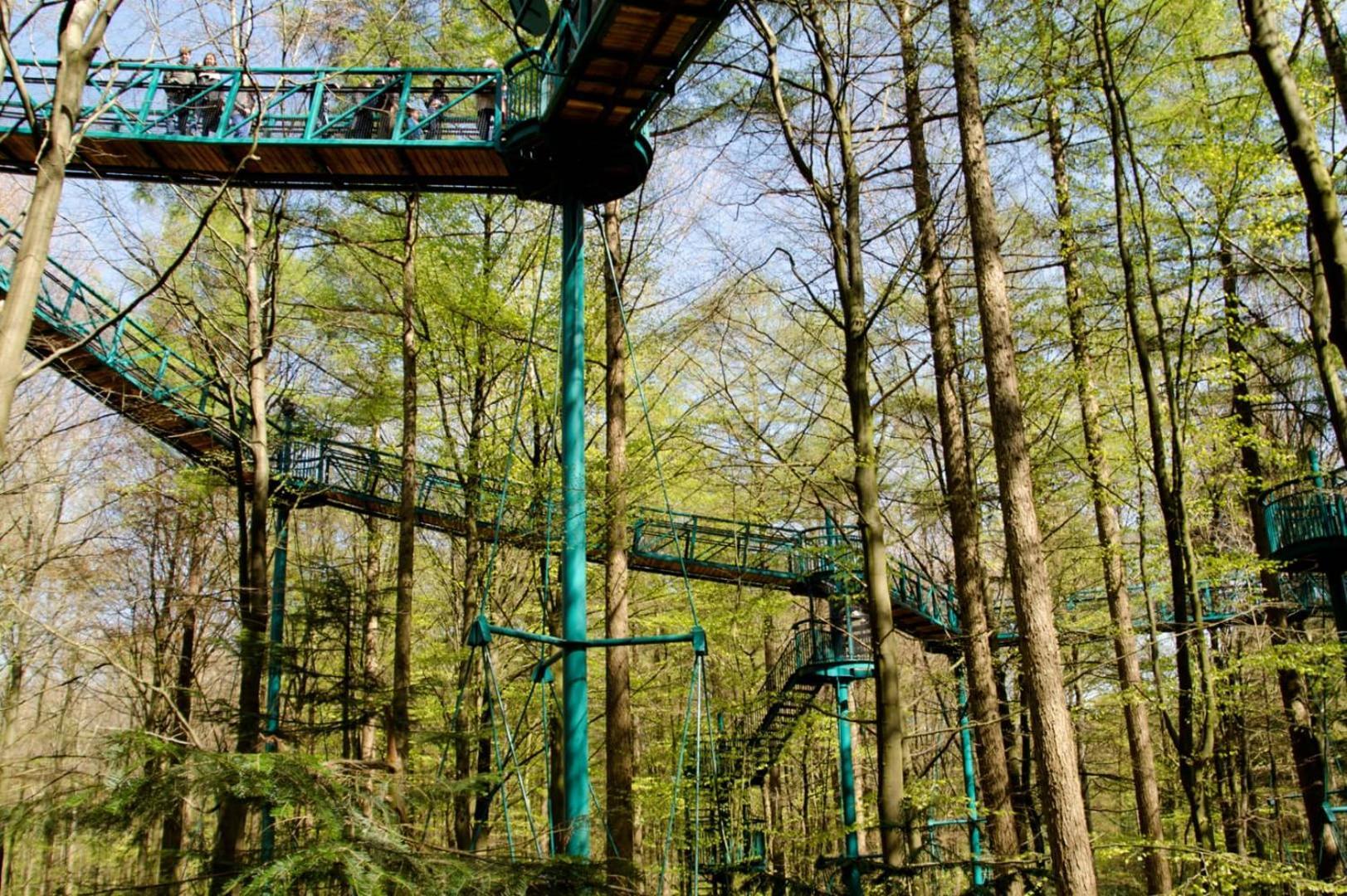 Camping Het Horstmannsbos Gasselte Buitenkant foto