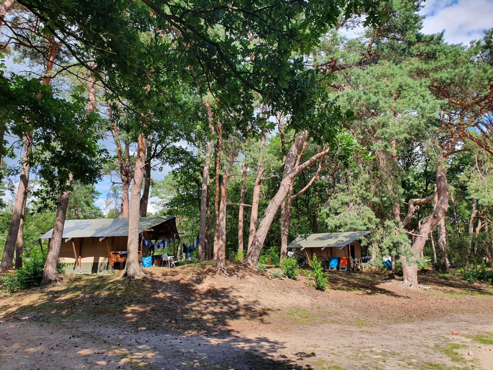 Camping Het Horstmannsbos Gasselte Kamer foto